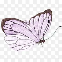 手绘紫色的蝴蝶免抠图
