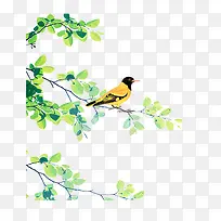 站在树枝上的画眉鸟