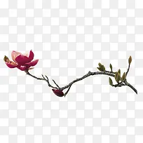 莲花