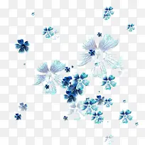 飘落的蓝色花朵