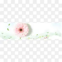 小清新海报