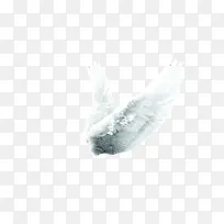 一对展翅飞翔的天使之翼