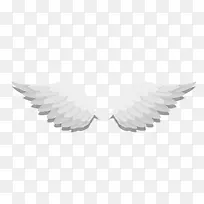 美丽白色天使翅膀