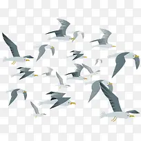 灰白色空中飞翔的海鸥