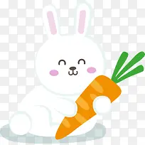 抱着胡萝卜的小白兔