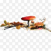 树叶堆里的蘑菇