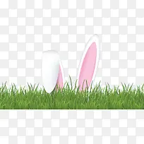 草地上的可爱兔耳朵