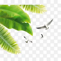 海鸥飞鸟椰树免抠PNG图片