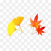 手绘秋天的叶子