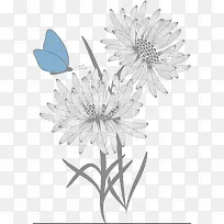 菊花和蓝色蝴蝶线描画