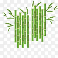 矢量植物竹子