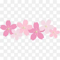 春天粉色美丽喇叭花