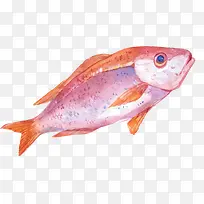 红色绘画鱼类图案设计