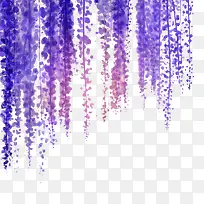 紫藤花构成的帘