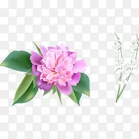矢量手绘紫色花朵