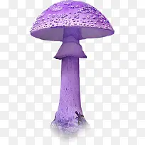 紫色大蘑菇