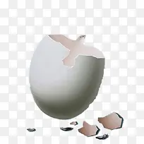 创意插画-鸽子与鸡蛋壳