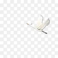 创意手绘白色飞翔的仙鹤