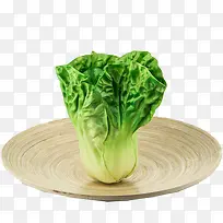绿色大白菜