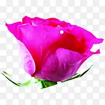 紫色玫瑰爱心婚庆吊牌