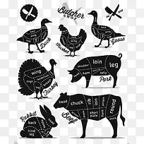 各种动物肉类分解图