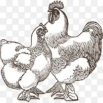 卡通公鸡母鸡设计原素