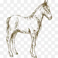 手绘素描动物马设计