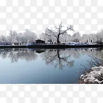 北京植物园雪景一