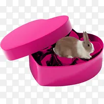 兔子礼盒春节礼物