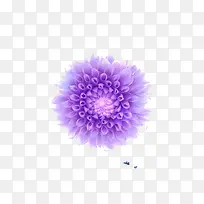 彩铅紫金花