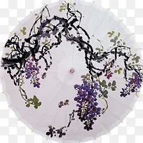 紫藤花油纸伞