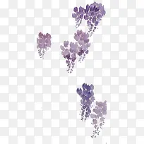 淡彩紫藤花