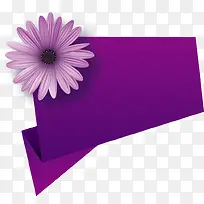 紫色菊花装饰