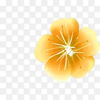 橙黄色时尚花朵海报效果图