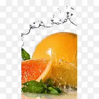 水润甜橙