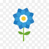 美丽蓝色小菊花