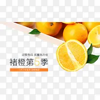 橙子banner