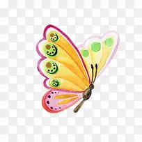 漂亮的蝴蝶水彩图