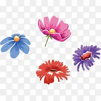 4款彩绘清新的菊花矢量素材