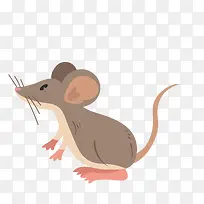 棕色可爱设计的老鼠