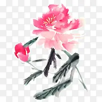写意牡丹