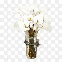 玻璃花瓶中的白色马蹄莲油画作品