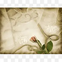 玫瑰花与丝绸背景