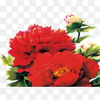 创意水彩合成红色的海棠花元素