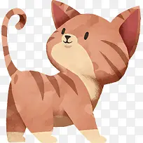 回头一看的猫