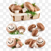 一盒蘑菇