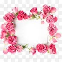 浪漫粉红玫瑰边框情人节装饰ps