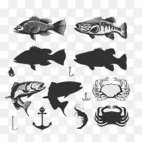 海鲜鱼类插画图片