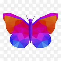 彩色蝴蝶设计矢量