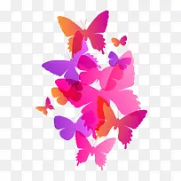 时尚彩色的蝴蝶插画